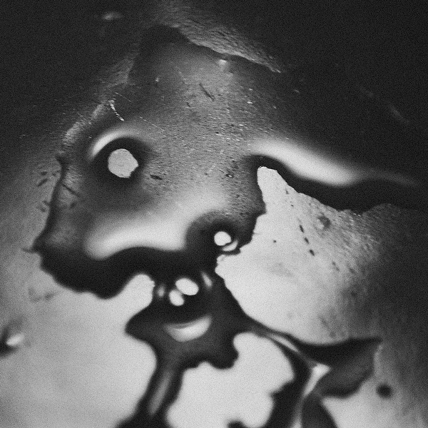 Rabbit - London - UK- Fine Art photography 