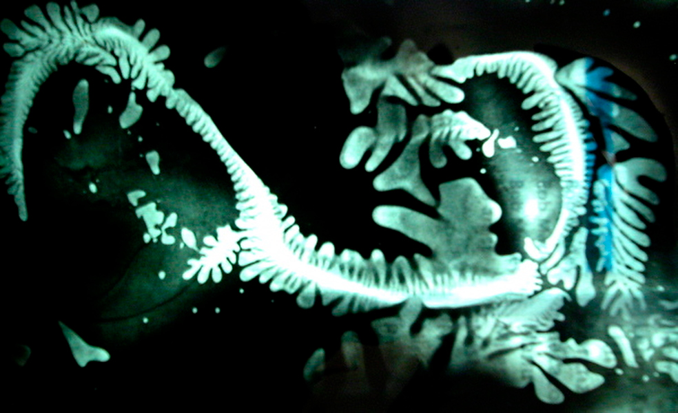 Complexity Gels 2 - London - UK- Fine Art photography