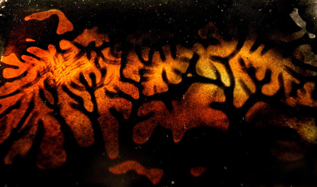 Complexity Gels 3 - London - UK- Fine Art photography