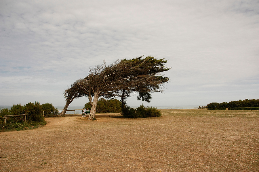 Ile D'oleron  - Travel Photography